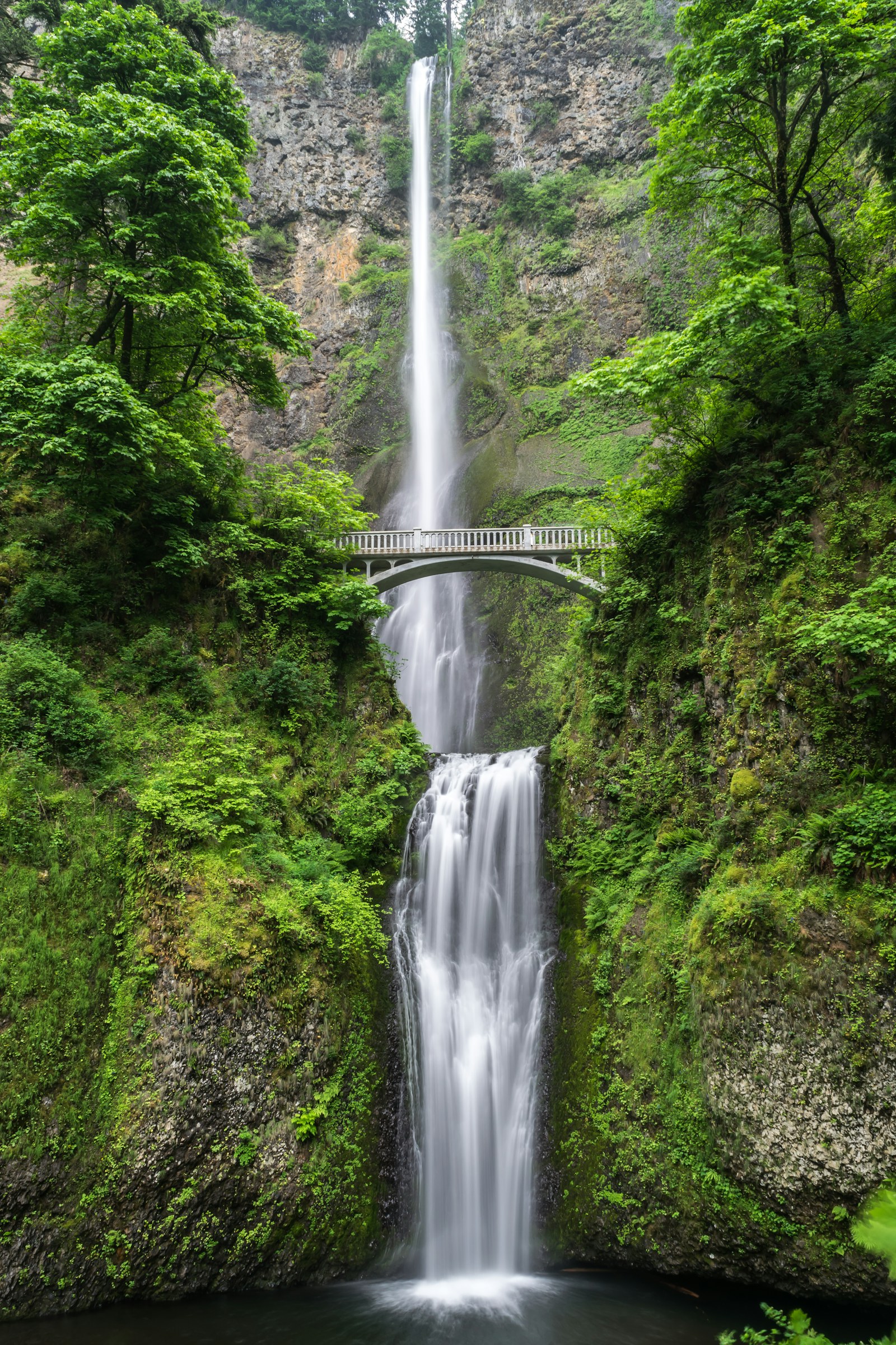 Tropical waterfall setting used as an illustrative image for a Tegenungan Waterfall guide